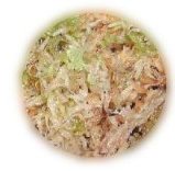 Sphagnum moss