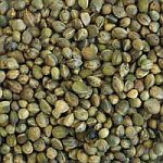 Hemp seed