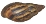 Achatina zanzibarica shell