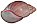 Archachatina ventricosa shell
