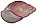 Archachatina ventricosa shell