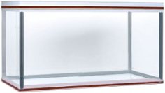 Perspex tank